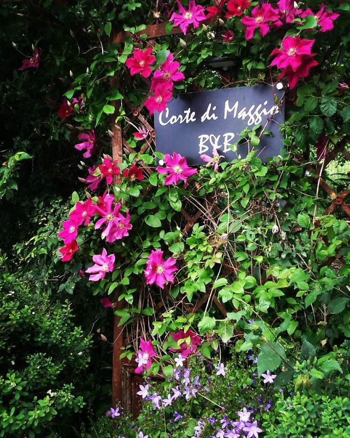 Corte Di Maggio B&B Country House Imola Exterior foto